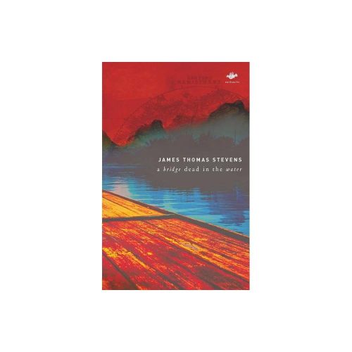 Earthworks: A Bridge Dead in the Water (Paperback)